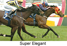 Super Elegant (14772 bytes)