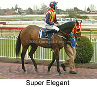 Super Elegant (14772 bytes)