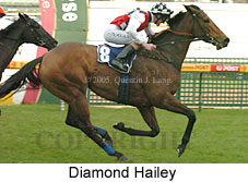 Diamond Hailey (14772 bytes)