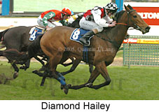 Diamond Hailey (14772 bytes)
