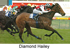 Diamond Hailey (14772 bytes)