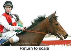 Return to scale (14008 bytes)