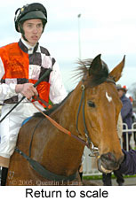 Return to scale (14008 bytes)