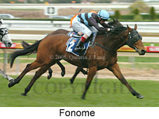 Fonome (14772 bytes)