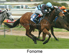 Fonome (14772 bytes)