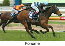 Fonome (14772 bytes)