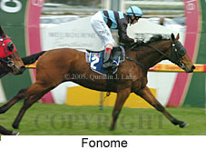 Fonome (14772 bytes)