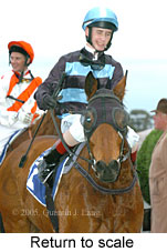 Return to scale (14008 bytes)