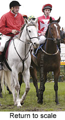 Return to scale (15527 bytes)