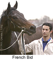 French Bid (10251 bytes)