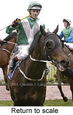 Return to scale (13041 bytes)