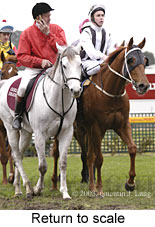 Return to scale (15834 bytes)