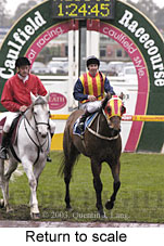 Return to scale (15527 bytes)