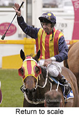 Return to scale (15527 bytes)