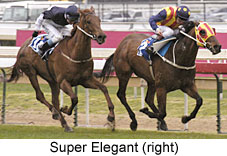 Super Elegant (17715 bytes)