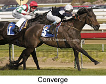 Converge (16126 bytes)