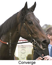 Converge (11601 bytes)