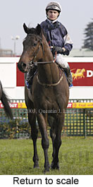 Return to scale (13797 bytes)