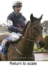 Return to scale (12787 bytes)