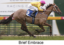 Brief Embrace (14113 bytes)