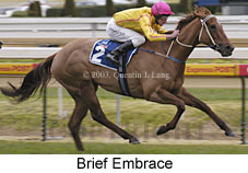 Brief Embrace (14593 bytes)