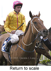 Return to scale (13796 bytes)