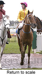 Return to scale (14096 bytes)