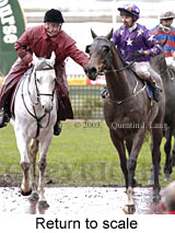 Return to scale (15773 bytes)