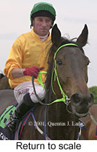 r1rtosc.jpg (11222 bytes)