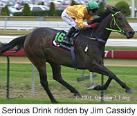 r1seriousdrink.jpg (14728 bytes)