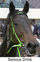 r1seriousdrink2.jpg (11398 bytes)