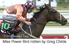 r2misspowerbird.jpg (14668 bytes)