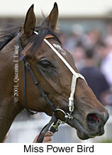 r2misspowerbird2.jpg (11440 bytes)