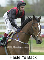 r3hasteyeback2.jpg (11113 bytes)