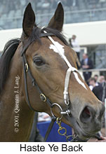 r3hasteyeback3.jpg (11820 bytes)