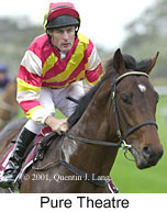 r4puretheatre2.jpg (11903 bytes)