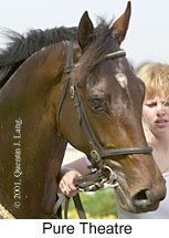 r4puretheatre3.jpg (11605 bytes)