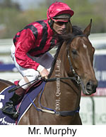 r5mrmurphy2.jpg (11834 bytes)