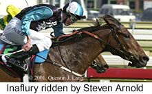 r6inaflury.jpg (15135 bytes)