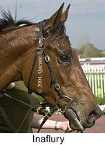 r6inaflury2.jpg (10888 bytes)