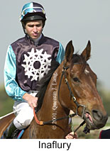 r6inaflury3.jpg (12430 bytes)