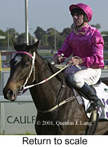 r8rtosc.jpg (13113 bytes)