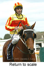 Return to scale (14008 bytes)