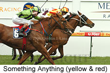 Something Anything (14772 bytes)