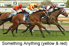 Something Anything (14772 bytes)