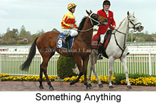 Something Anything (14772 bytes)