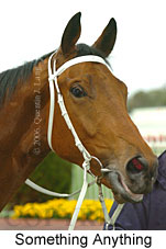 Something Anything (14772 bytes)