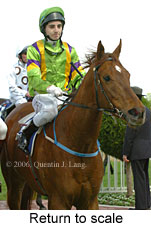 Return to scale (14008 bytes)