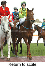 Return to scale (14008 bytes)