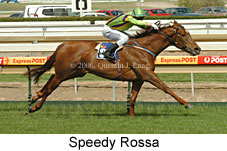 Speedy Rossa (14772 bytes)